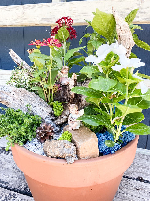 fairy garden (2).JPEG