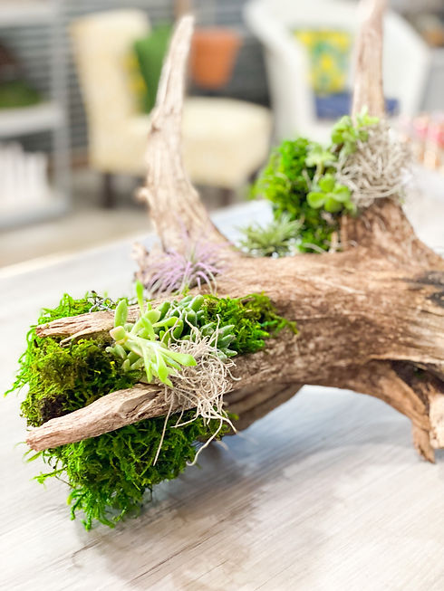 driftwood centerpiece11.JPEG