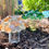 Thumbnail: Glass Mushroom Class Oct 25