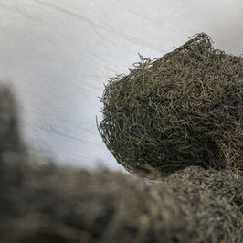 Hotels-Models14015 2_edit_new 2.jpg