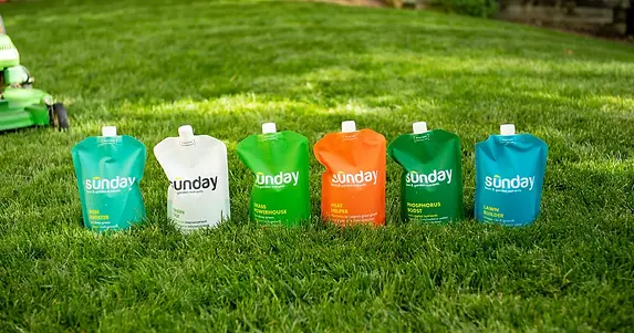 sunday-lawn-care-products.webp