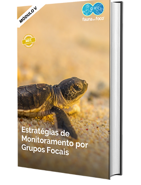 cincofinalcertas.png
