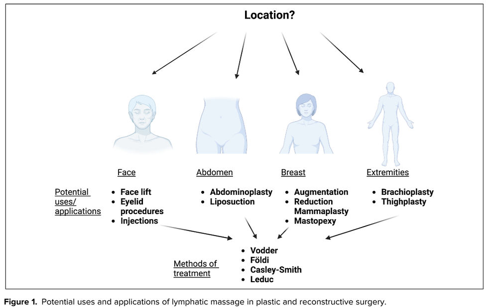 diagram of body areas and cosmetic procedures