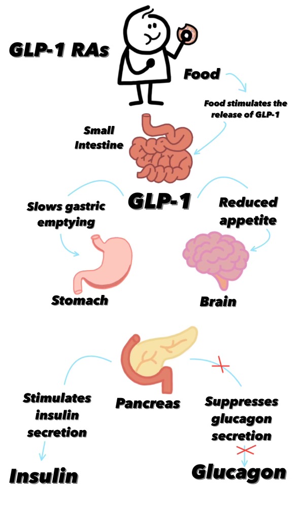 MariTide GLP1 GIP antagonist mechanism | DietApp.com GLP1 Tracker