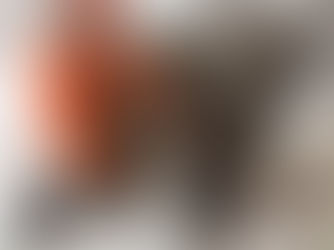 Død elg ved Djupelva