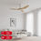 Thumbnail: Smart Ceiling Fan Twister M
