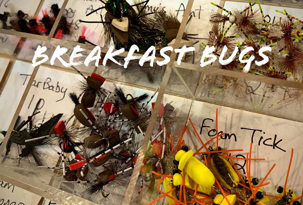 Breakfast Bugs
