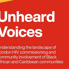 UNHEARD VOICES REPORT