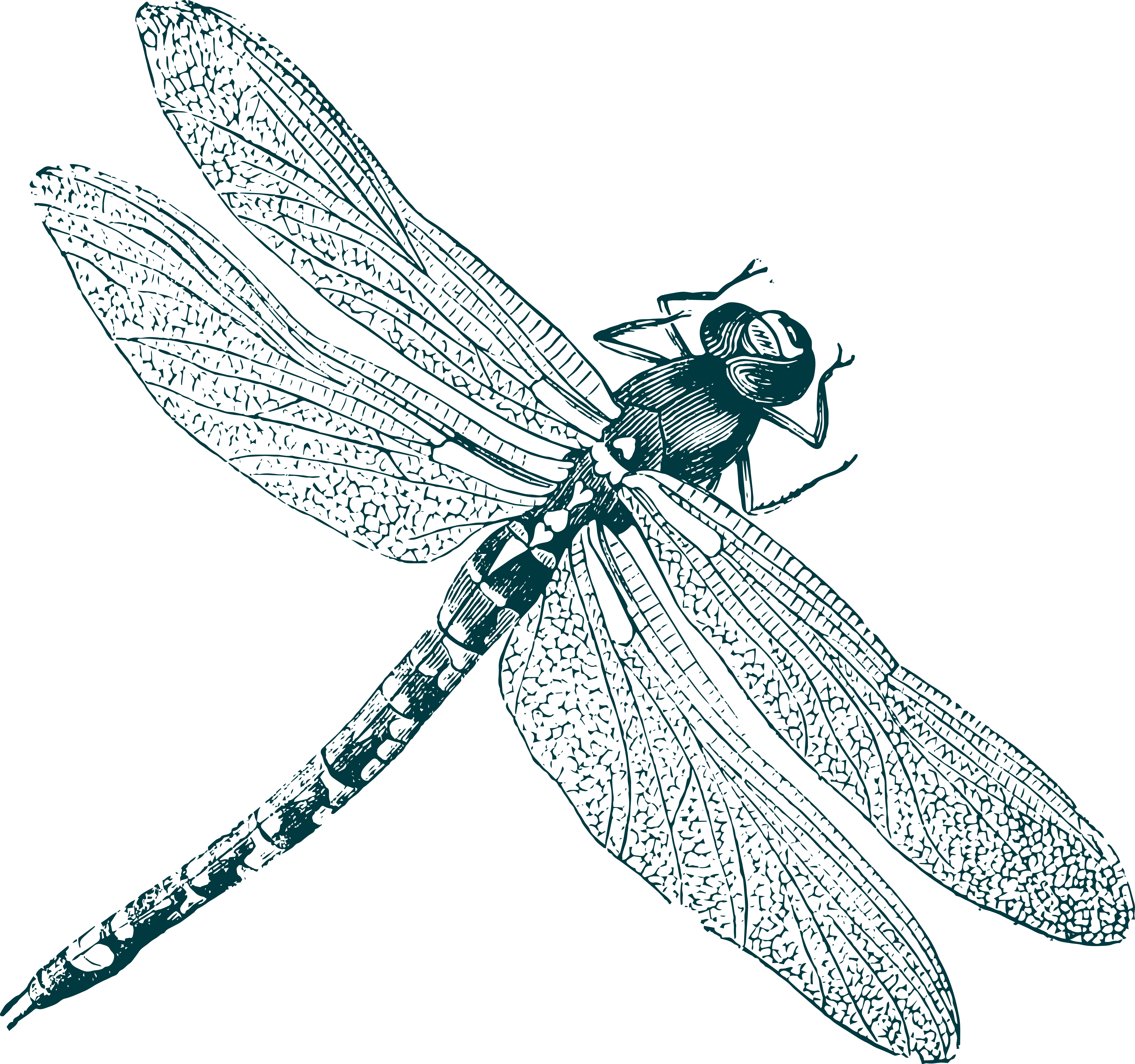 Autorenbild: Le Besenval