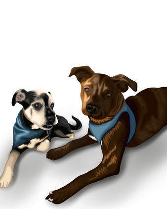 Digitally drawn semi-realistic portrait of two dogs wearing blue collars. 