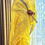 Thumbnail: Handloom hand embroidered chanderi chikankari saree yellow 2