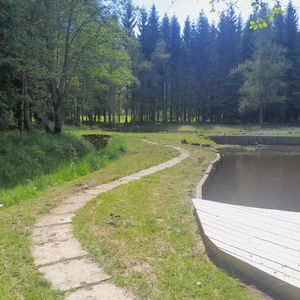 réhabilitation terrain, allée, jardin, étang