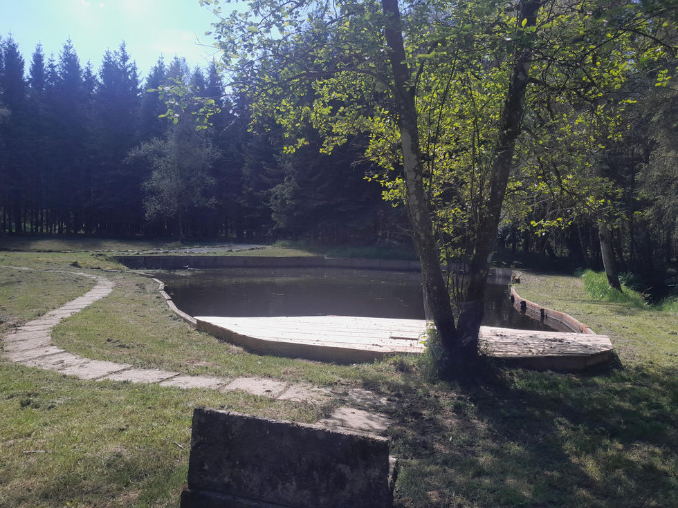 réhabilitation terrain, allée, jardin, étang