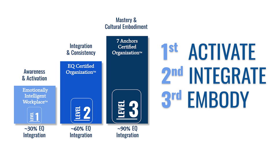 7 Anchors Certification.png