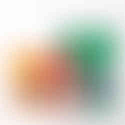 photo de nourriture pour animaux en studio sur fond blanc