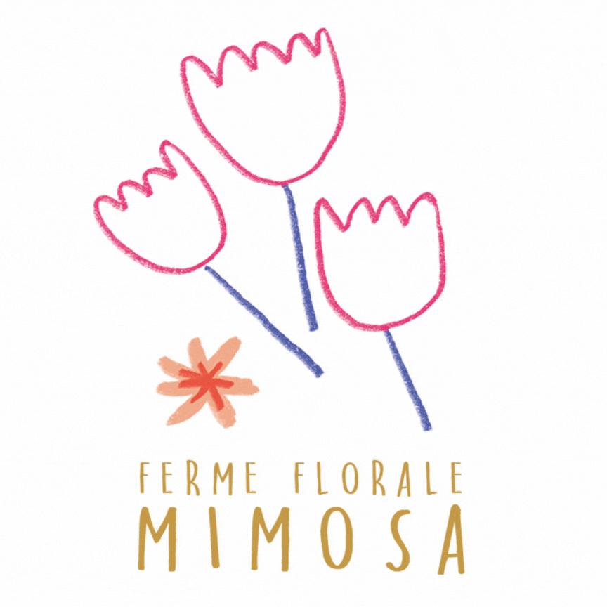GIF logo ferme florale mimosa Pauline Laurent-Jaballah Georgia Bagaoui-Meyer