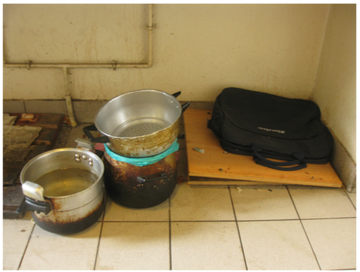 Pauline Jaballah Foyer courbevoie 02.png