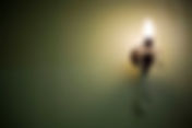 Wall Light