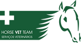 LOGO_HORSEVET TEAM_1.png