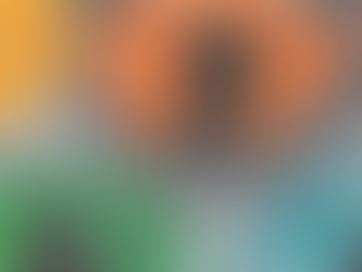 İstihbarata Karşı Koyma (İKK) Programı Çerçevesi