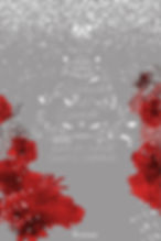 specialeditioncover.jpeg