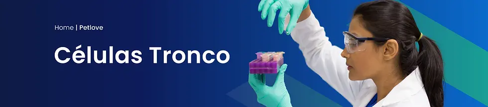 Sem título-3 [Recuperado]-14_Prancheta 1 cópia 4.webp