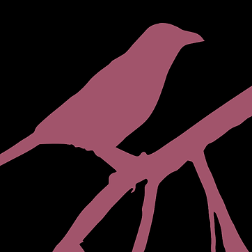 The Pink Ravyn 4.png
