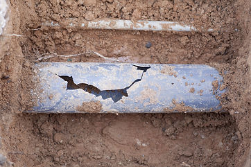 Go BlueLight Drain Experts - Google Busi