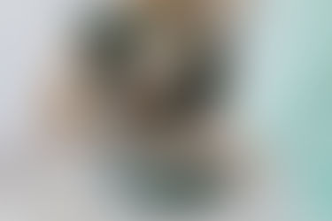 car accident chiropractor Katy, whiplash recovery Katy TX