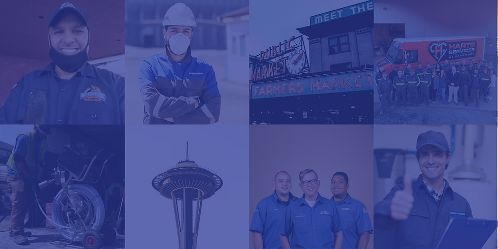 Go BlueLight Drain Experts