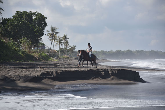 saltycowboy_horseridingbali34 (1).jpeg