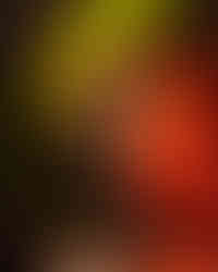 The Chisel at The Academy in Dublin, Ireland | Photos by Eily Jones