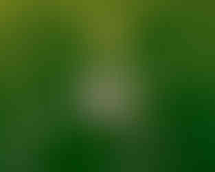 The Chisel at The Academy in Dublin, Ireland | Photos by Eily Jones