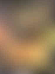 20200913_150445~2_Original.jpg