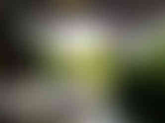 Visit Istria, Konoba Stari Podrum