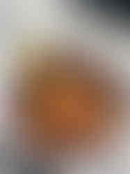 20210402_170130_Original.jpg