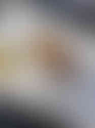 20210402_170142_Original.jpg