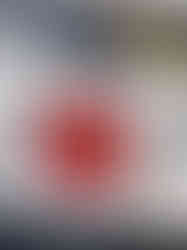 20210402_154618_Original.jpg