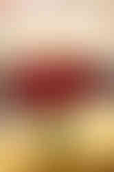 Visit Istria, Roxanich