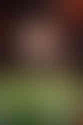 Visit Istria, Roxanich