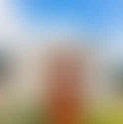 20220705_174052 Copy.JPG