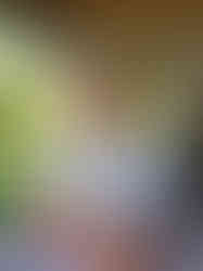 20210626_174021_Original.jpg
