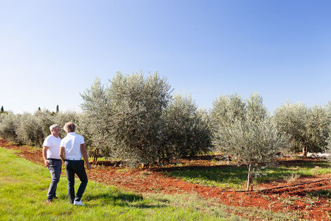 Visit Istria, Oliveri