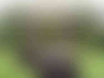 Visit Istria, Konoba Stari Podrum