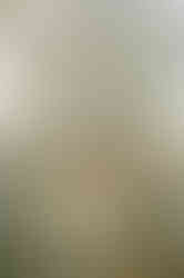 Visit Istria, Oliveri