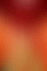 Visit Istria, Roxanich