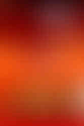 Visit Istria, Roxanich