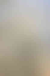 Visit Istria, Oliveri