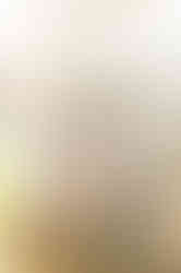 Visit Istria, Oliveri