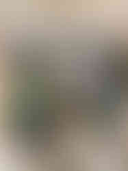 6E6759F1-0C3E-4956-80DD-F5BFAAF4D310